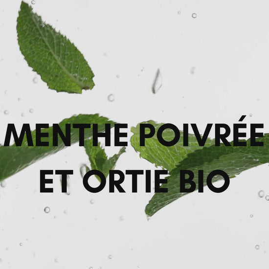 image du shampoing purifiant naturel pour les cheveux gras et vegan COSMIC à la menthe poivrée et à l'ortie BIO en format 200ML pour purifier et assainir le cuir chevelu et limiter l'excès de sébum, il aide à lutter contre les pellicules et a une action anti-chute