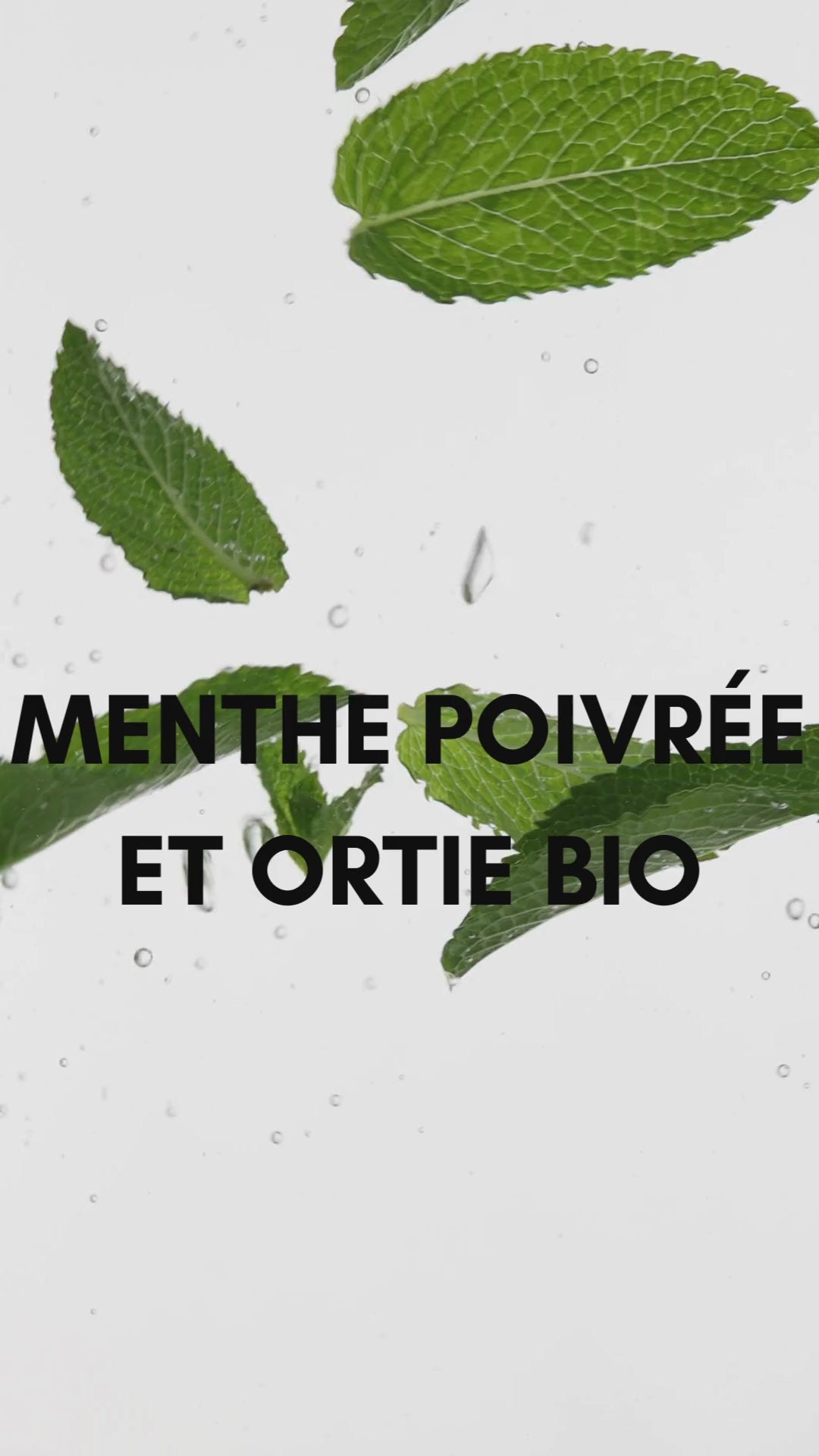 image du shampoing purifiant naturel pour les cheveux gras et vegan COSMIC à la menthe poivrée et à l'ortie BIO en format 200ML pour purifier et assainir le cuir chevelu et limiter l'excès de sébum, il aide à lutter contre les pellicules et a une action anti-chute